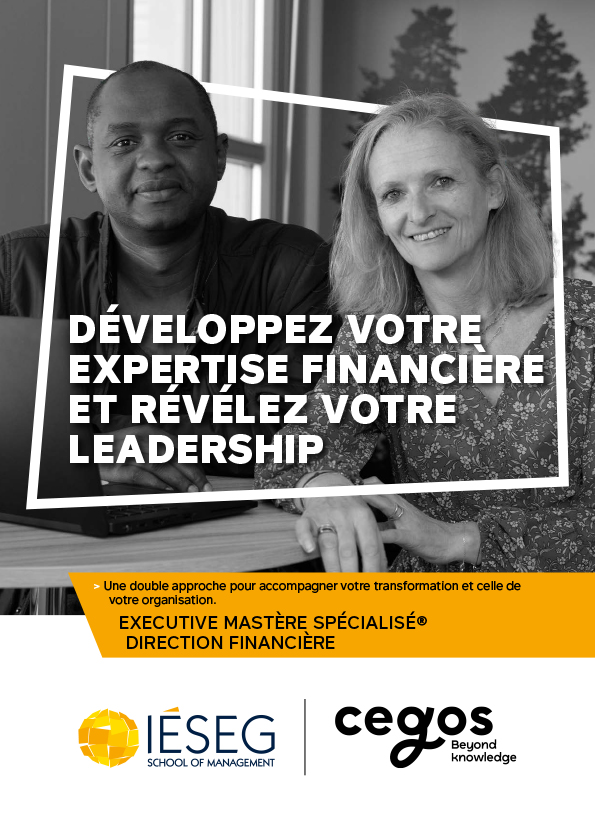 Brochure Mastère Spécialisé Direction Financière